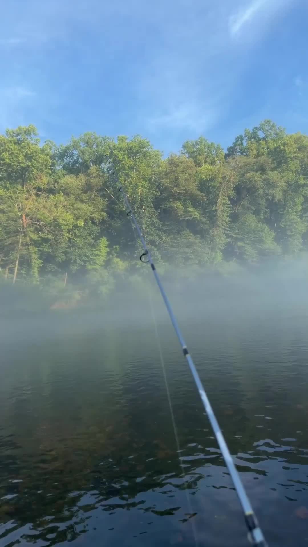 @LOVELACE 🎣