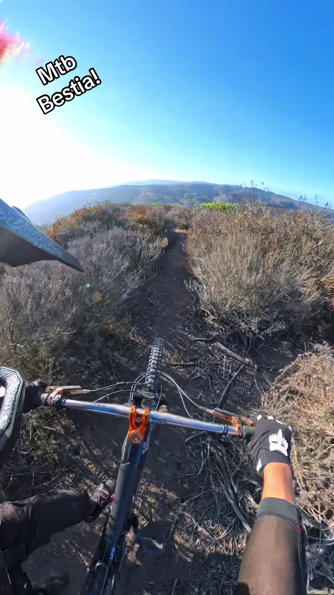 @Mtb BESTIA!