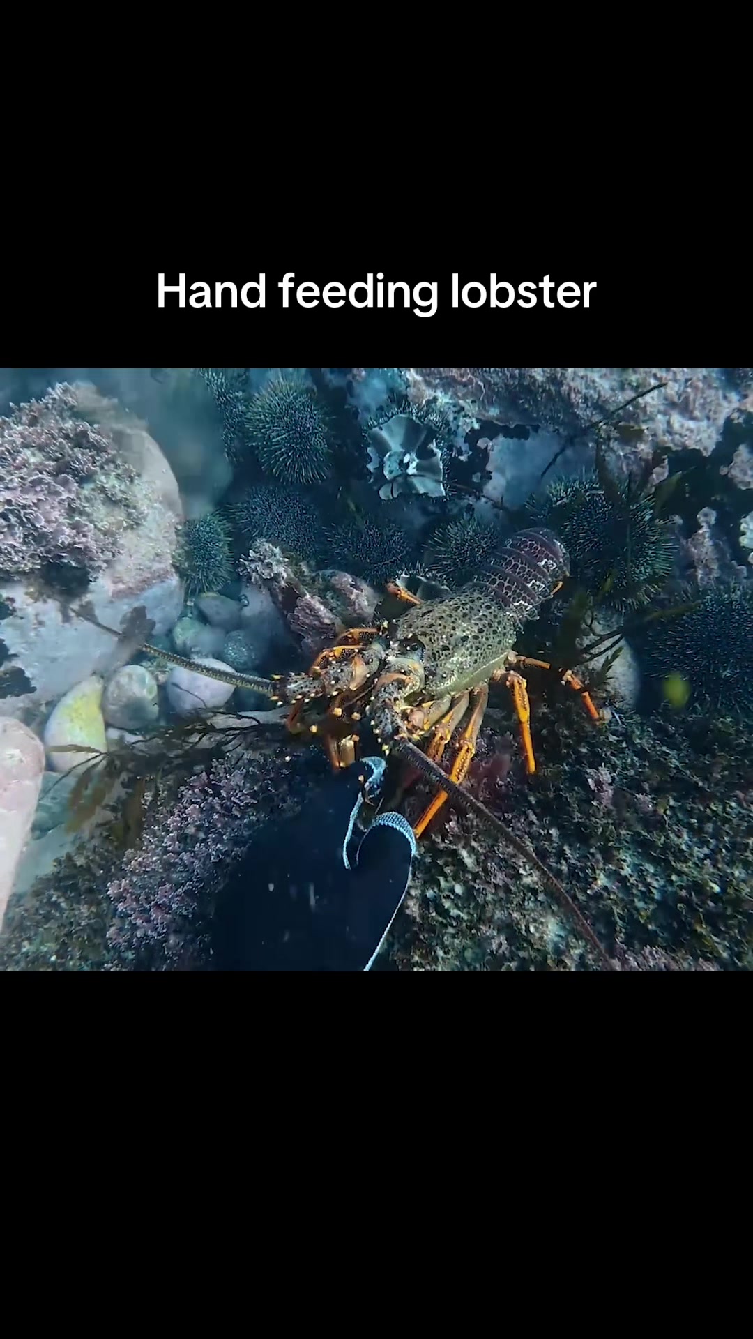 @BigWaterGuy