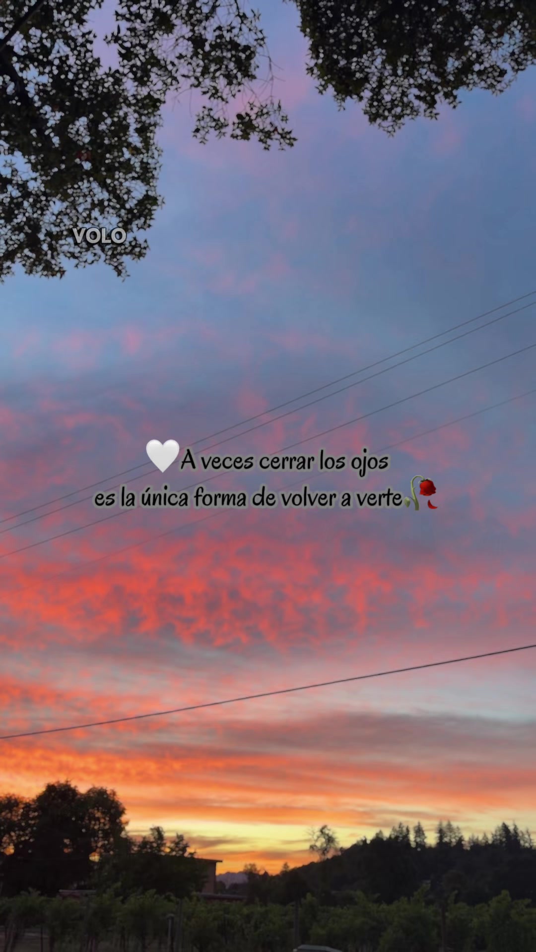 @𝓙𝓾𝓵𝓲𝓮𝓮𝓫𝓫𝔂