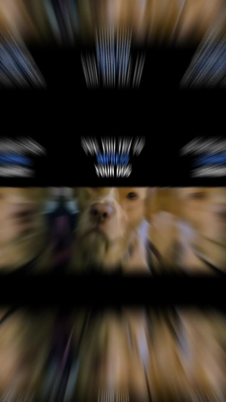 @animal whisper