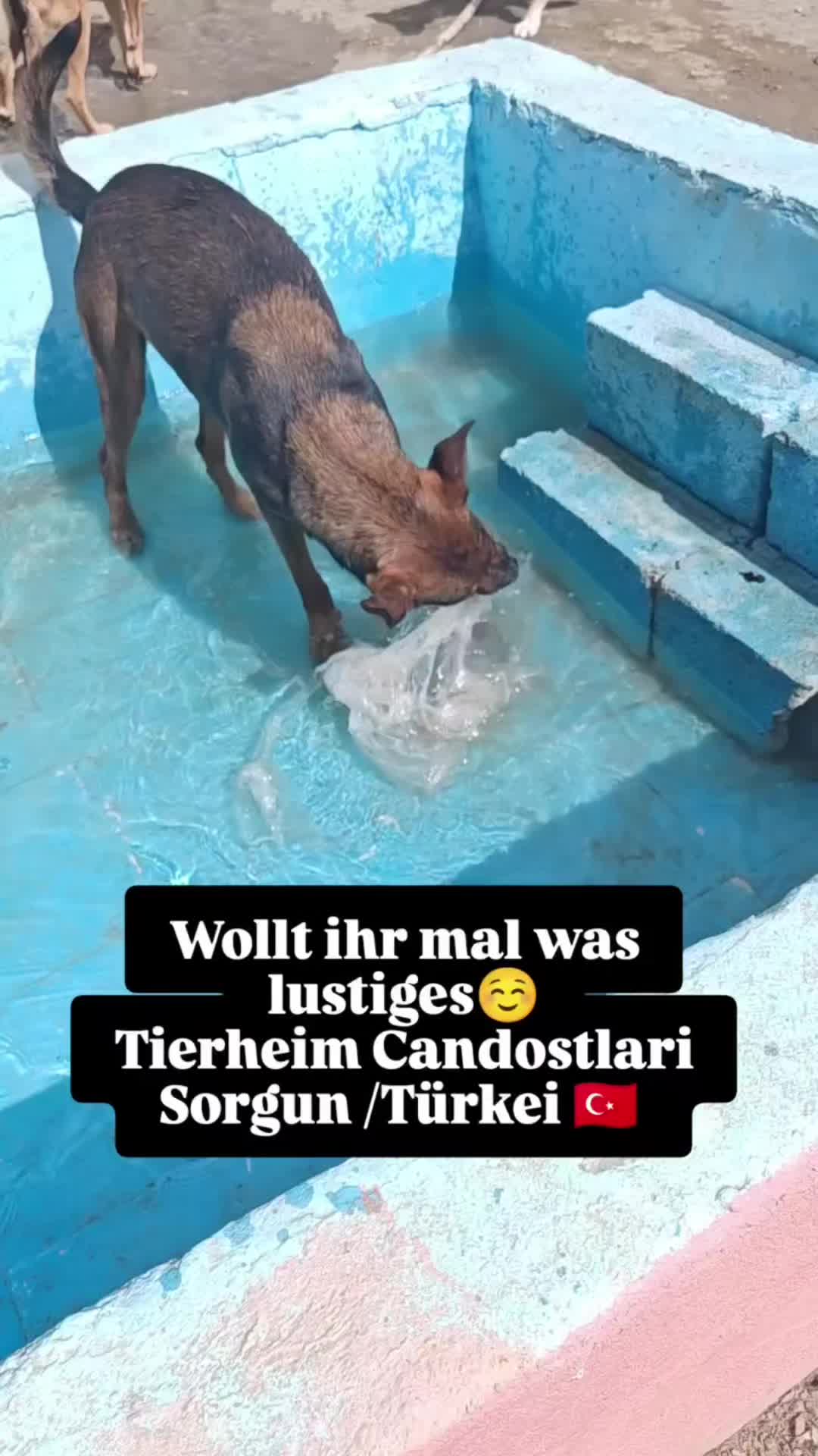 @TSV Candostlari-Beste Freunde