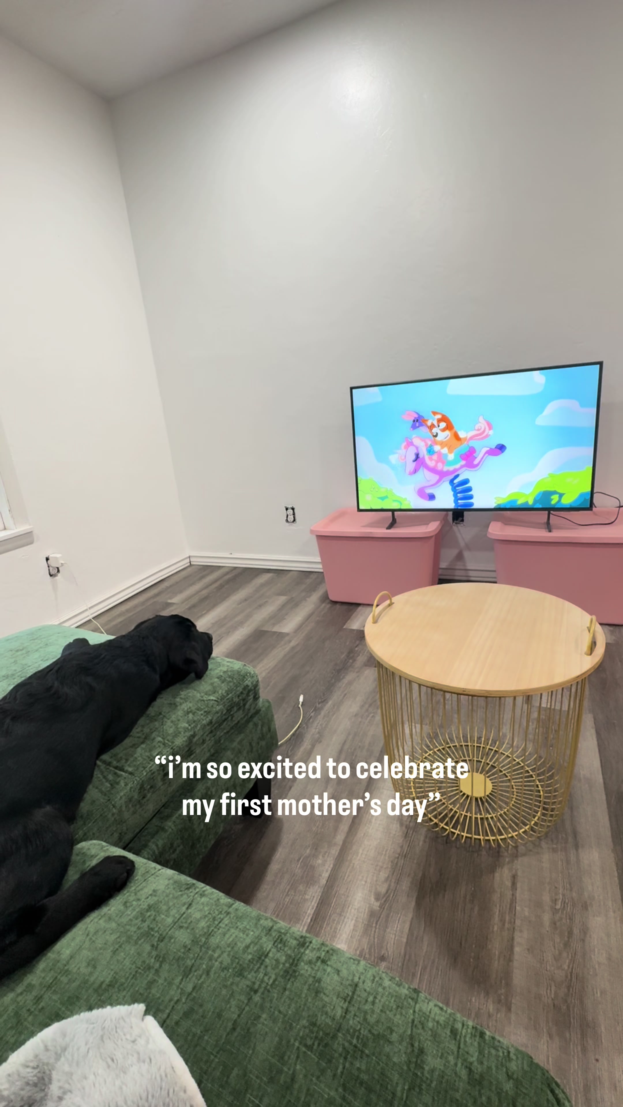 @Life with Luna🐾