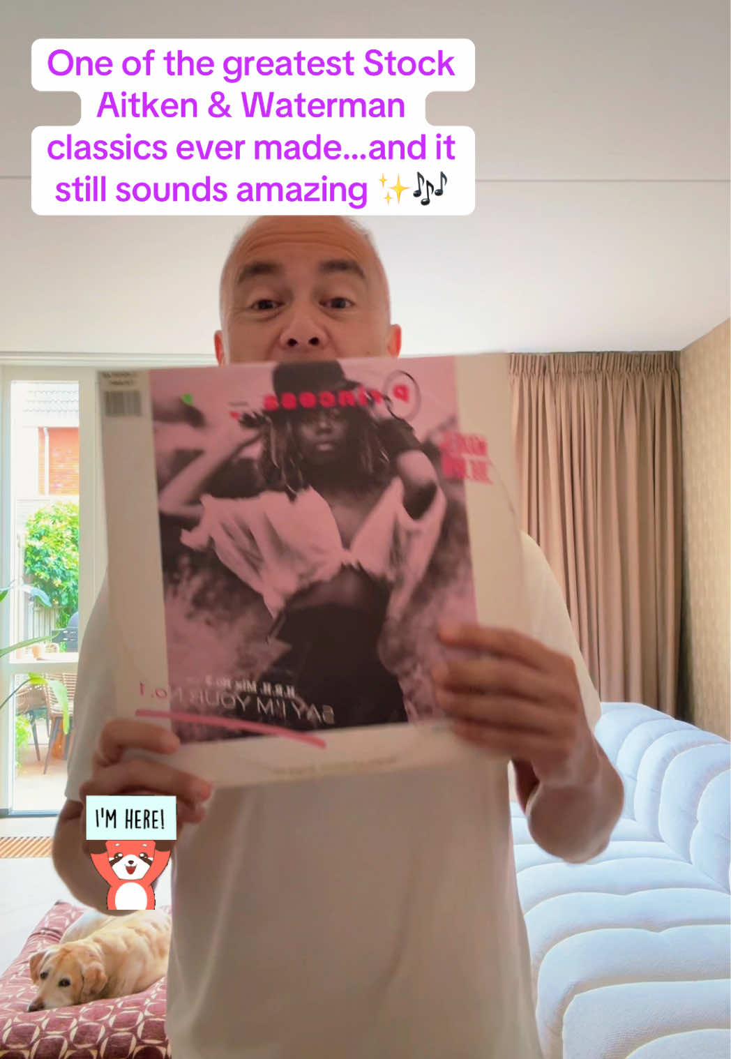 @Mike’s Vinyl Vault