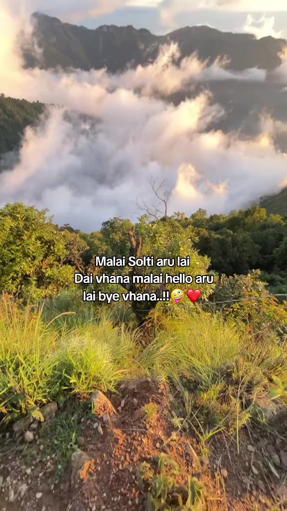 @Lwlw_ Byee🫡❤️