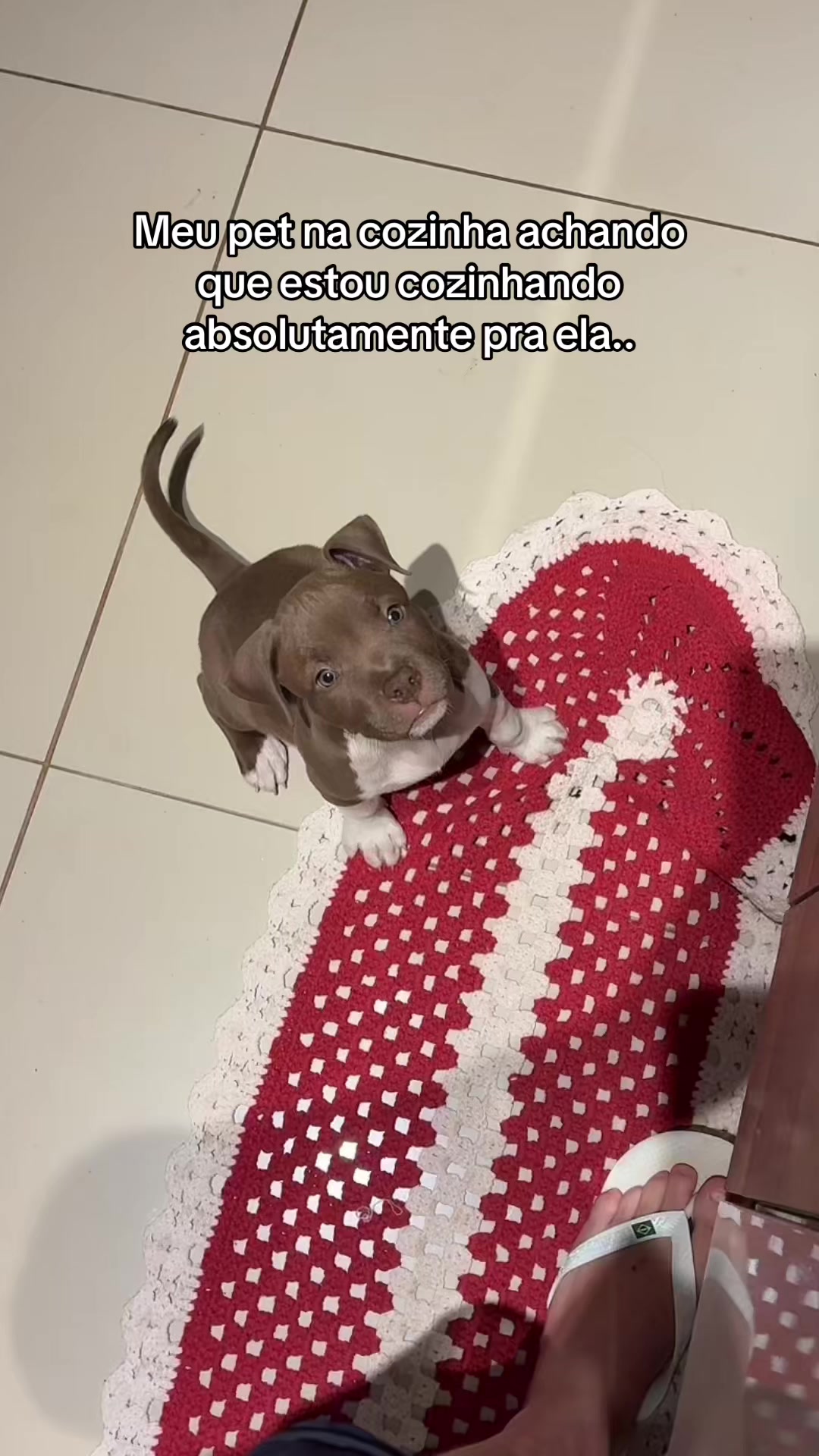 @Bruno Aguiar