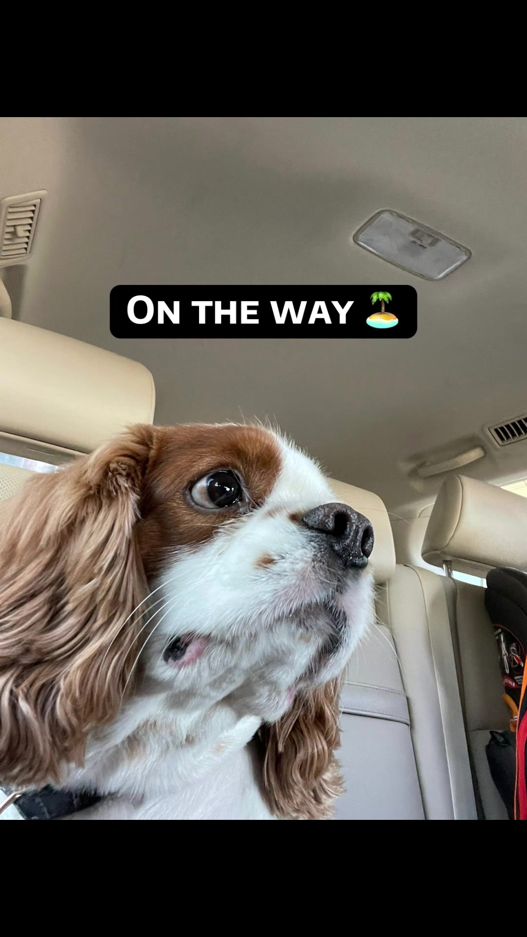 @TikTok4Fun