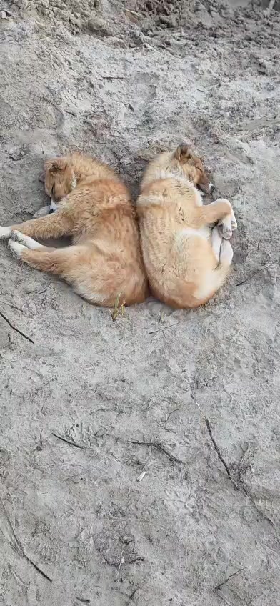 @❤️Вика Фатахова (Сейфетова)🔥