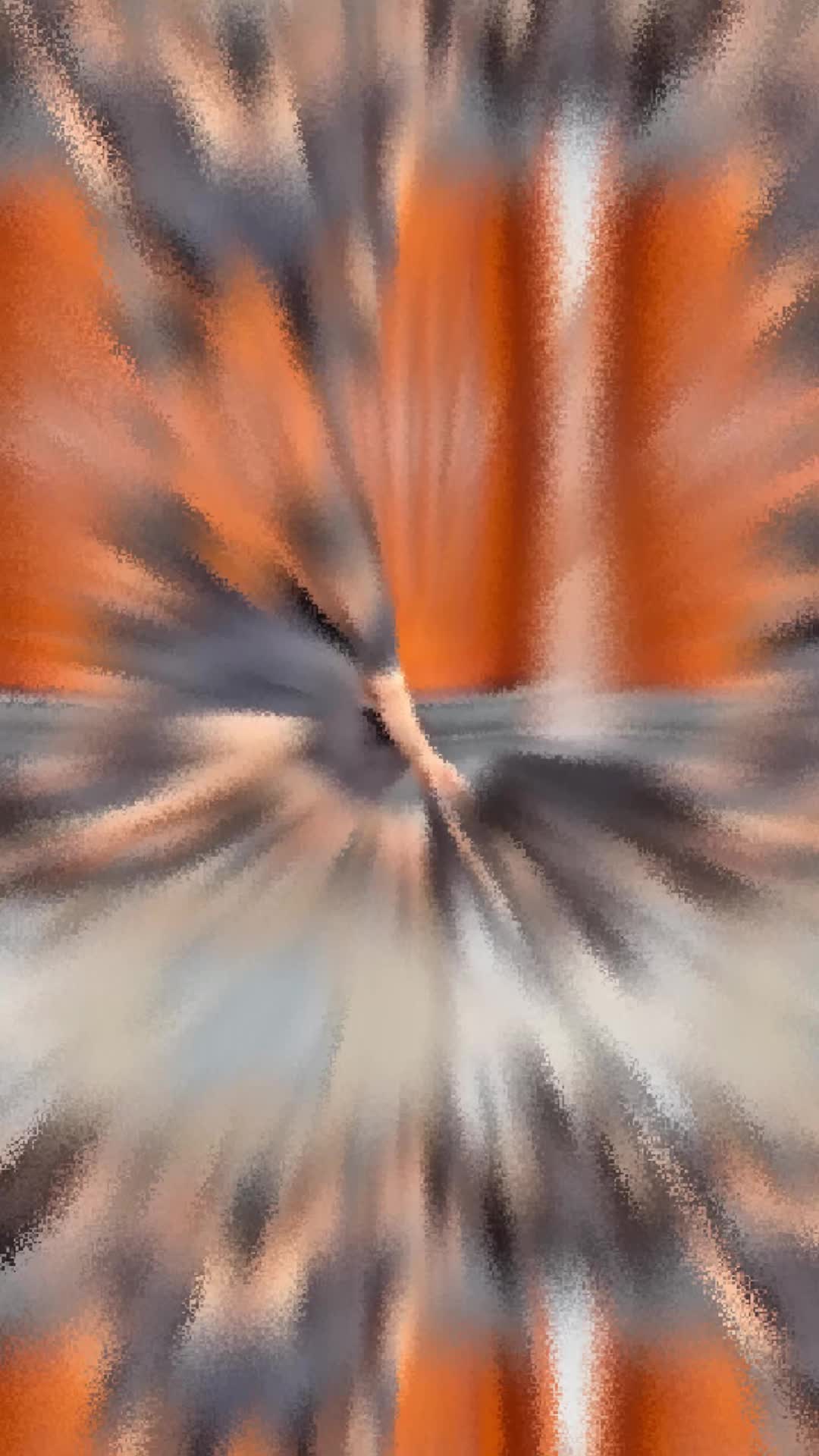 @𝑹𝒂𝒋𝒂𝒃 𝑽𝒍𝒐𝒈𝒔 🔥