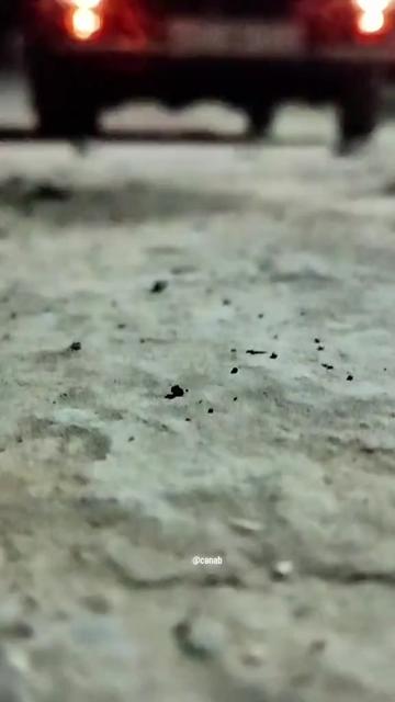 @cənab