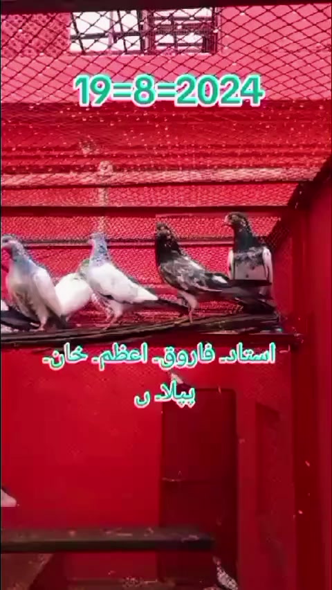 @ustadfarooqazamkhan