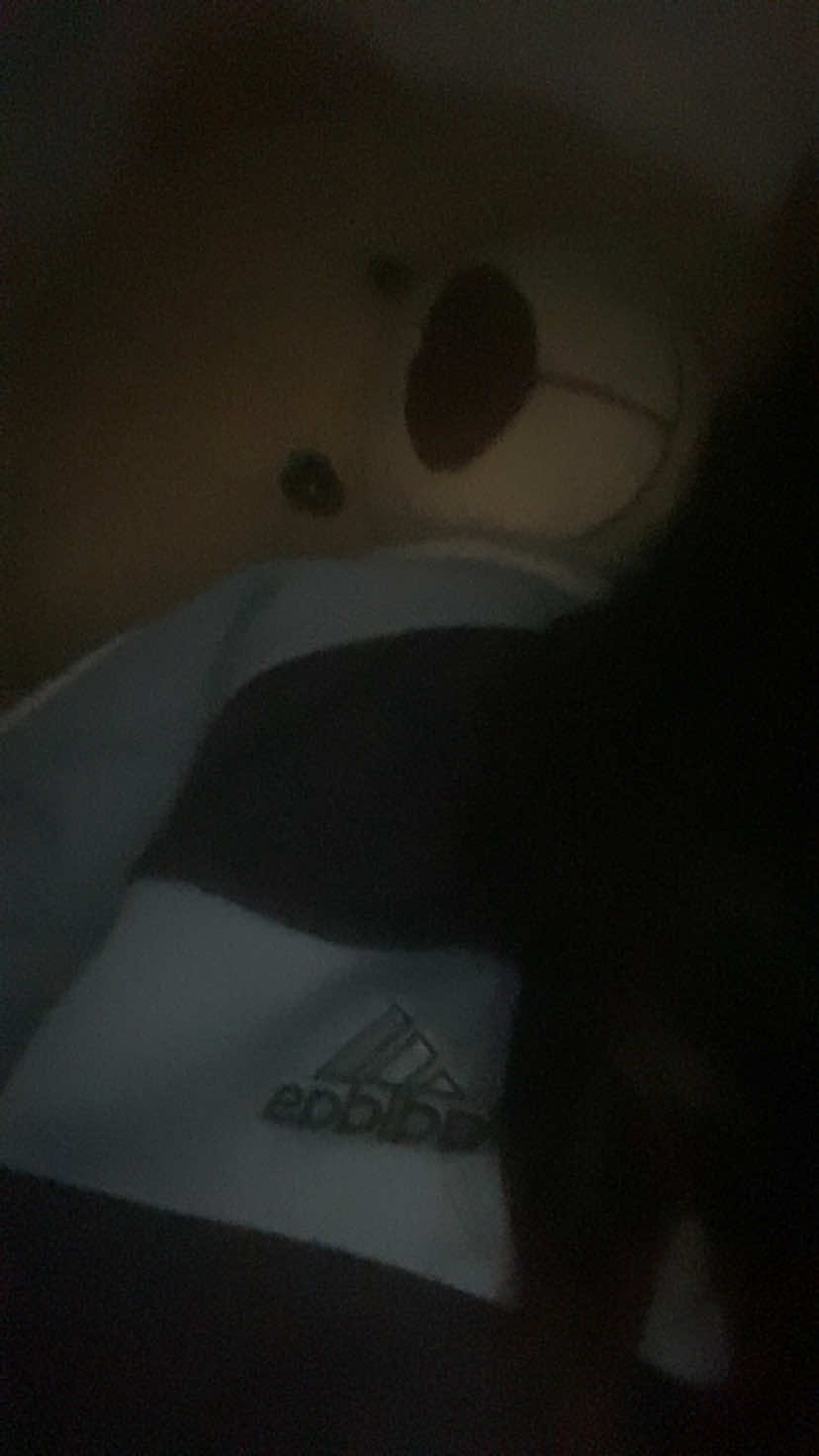 @𝓐🦇