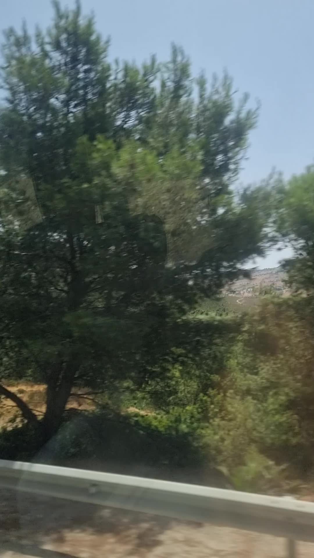 @Zagalo007