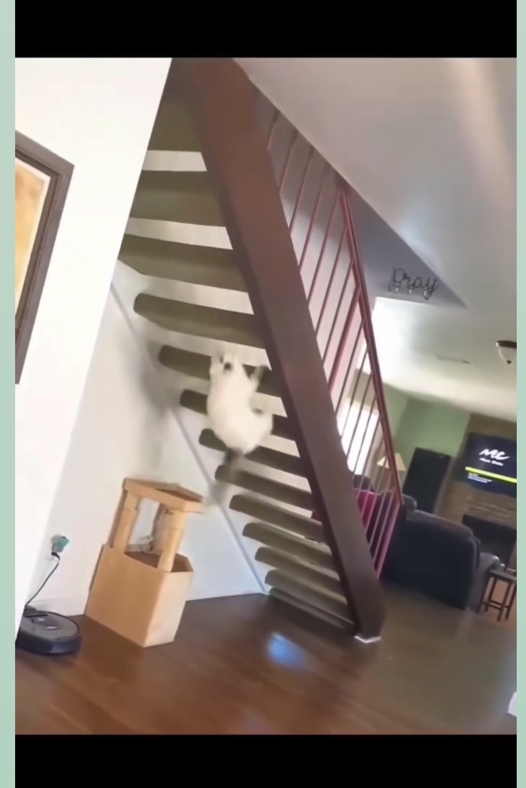 @Purrrrfect Moments