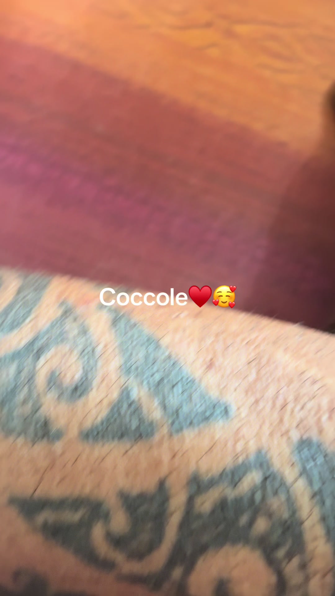 @salvobarra0