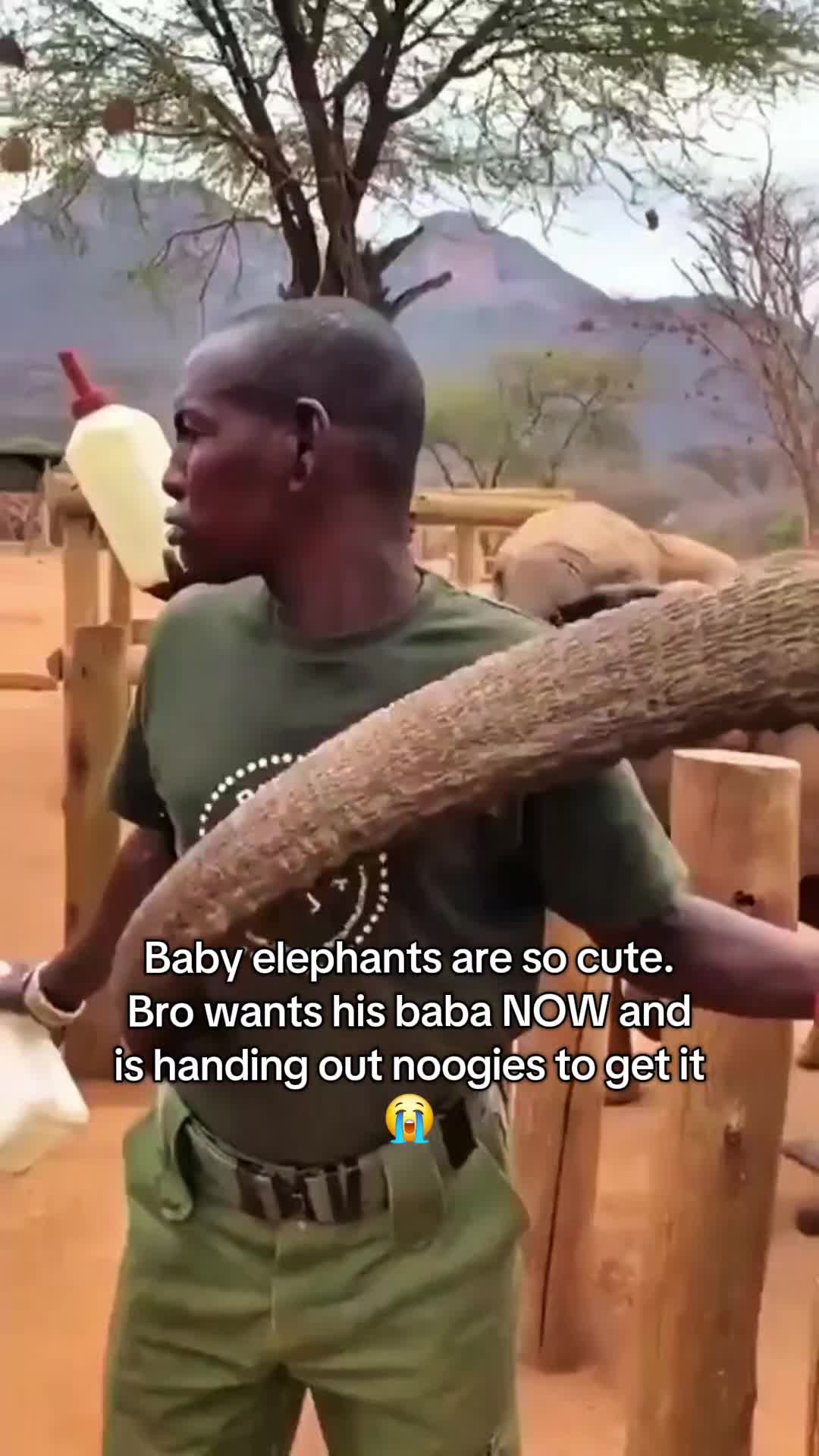 @Pawsitivitycore