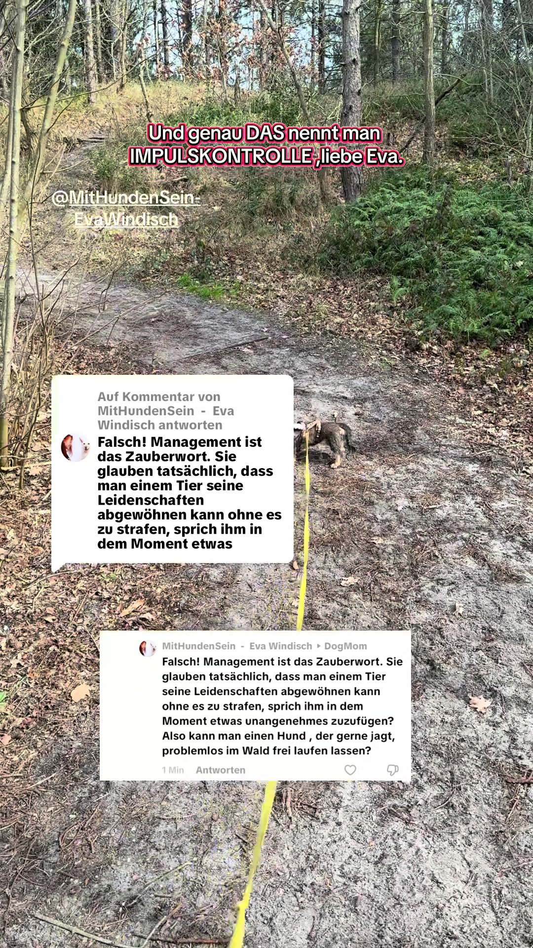 @Ichschützekinderundtiere