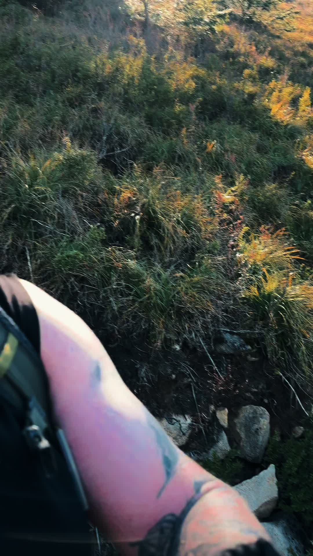 @🌲 James | WA 🏔️
