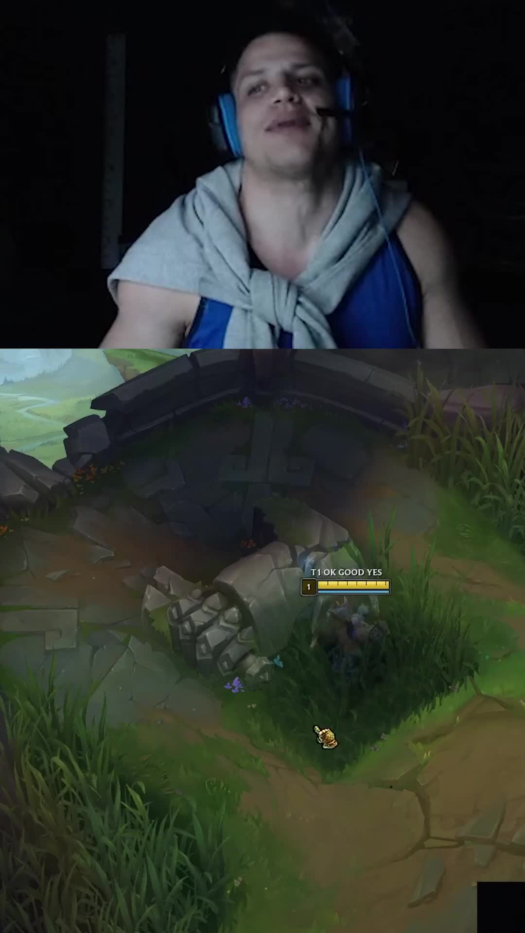 @Backseat AI by Tyler1