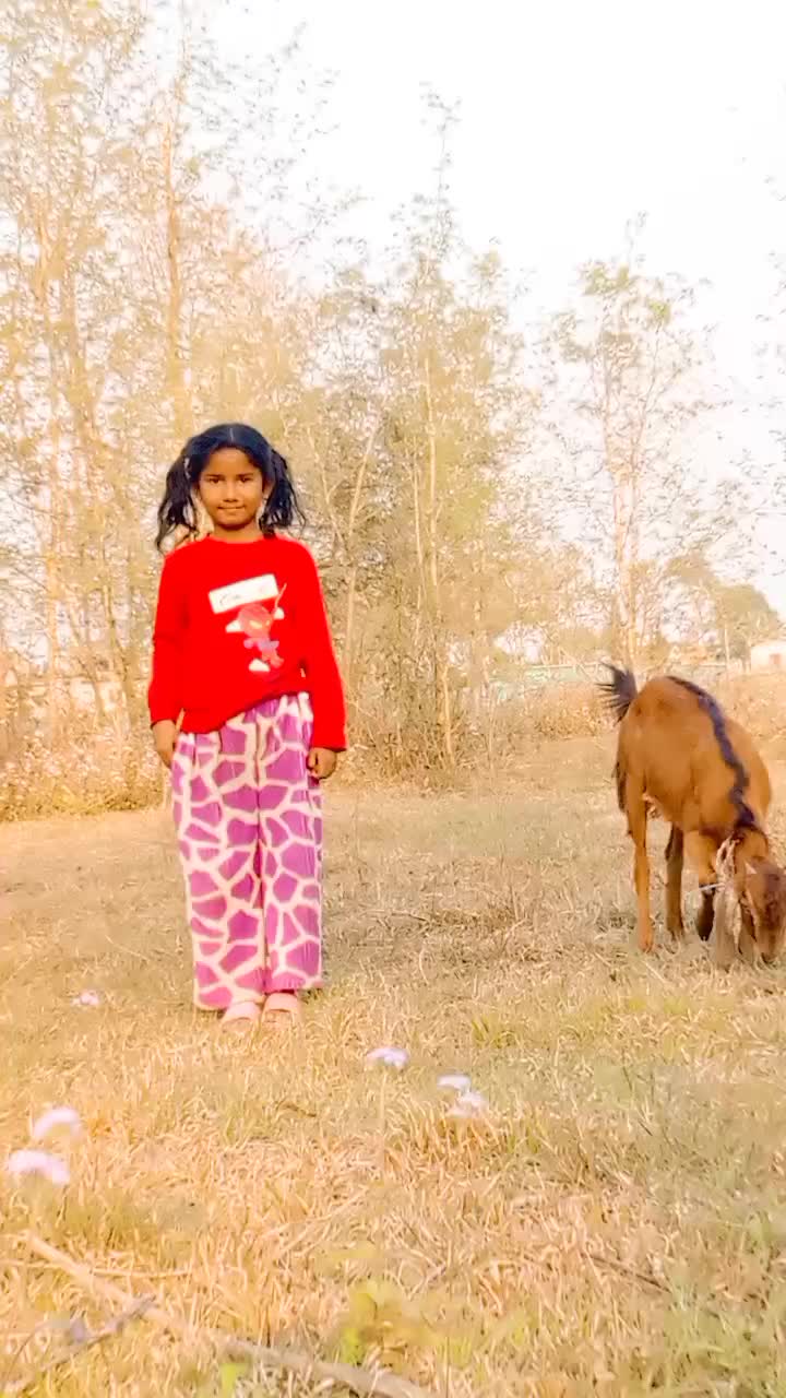 @Luhardil