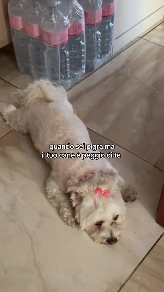 @Greta🌷