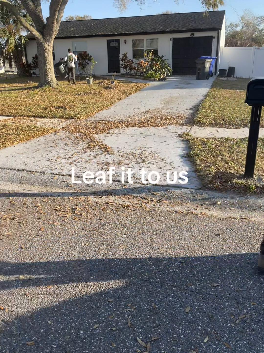 @Wolf of Lawn Street