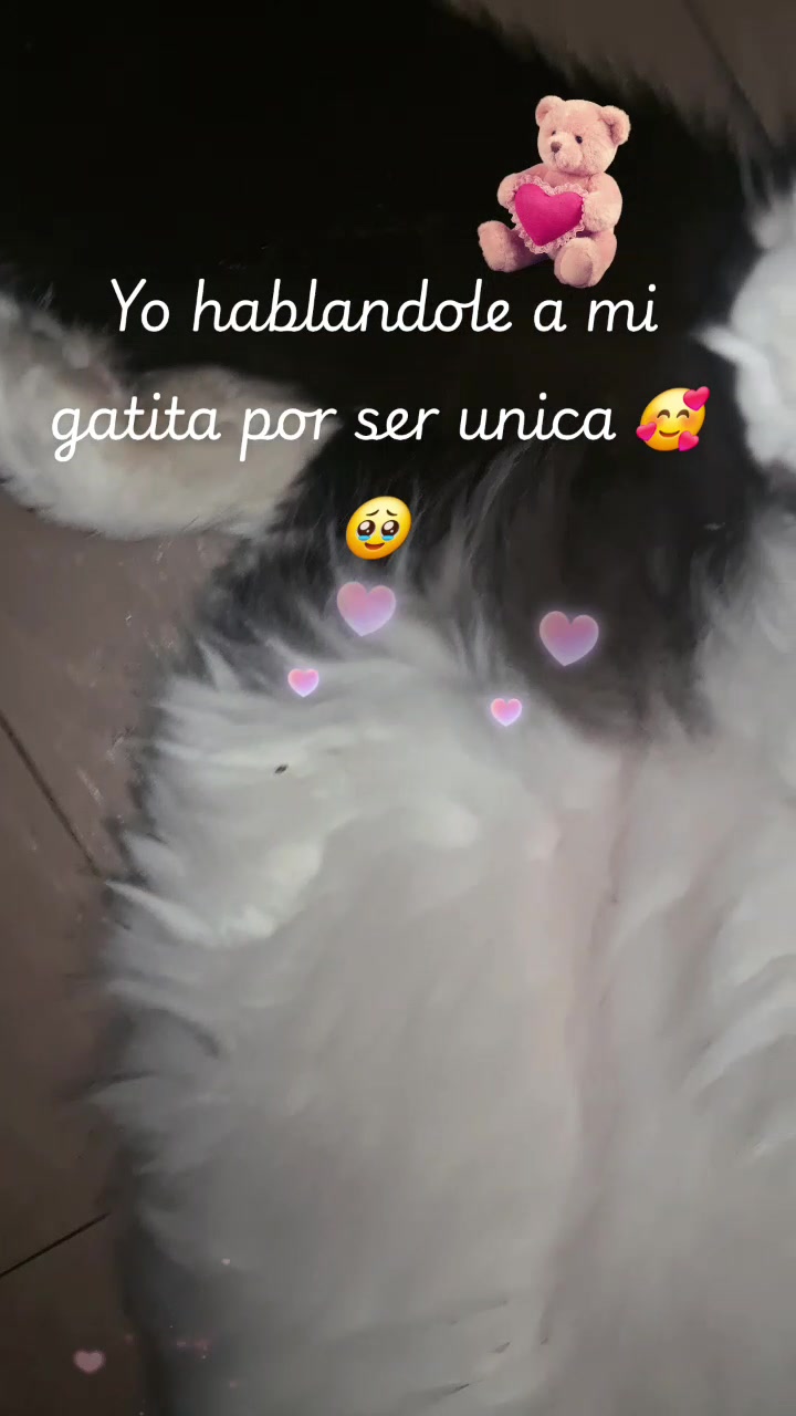 @Argelia Ramirez