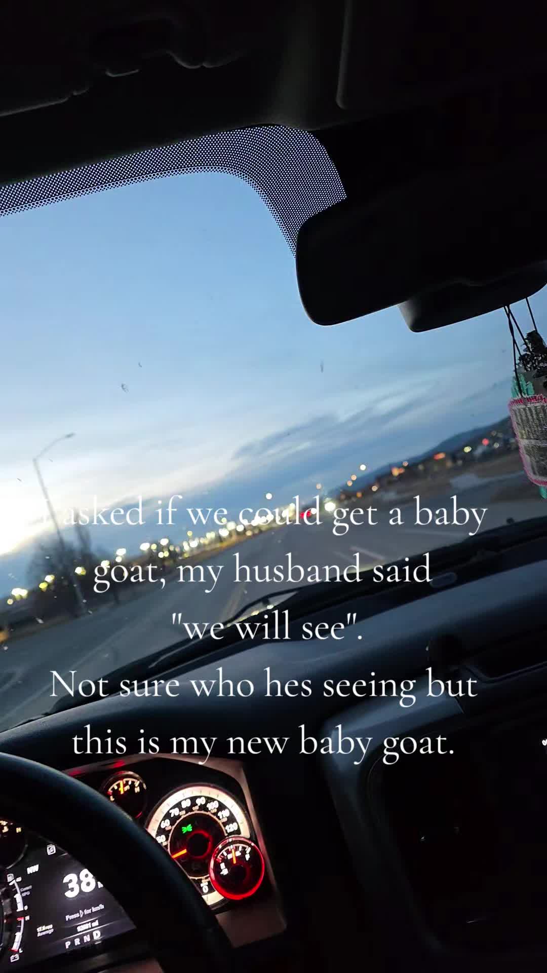 @Dani