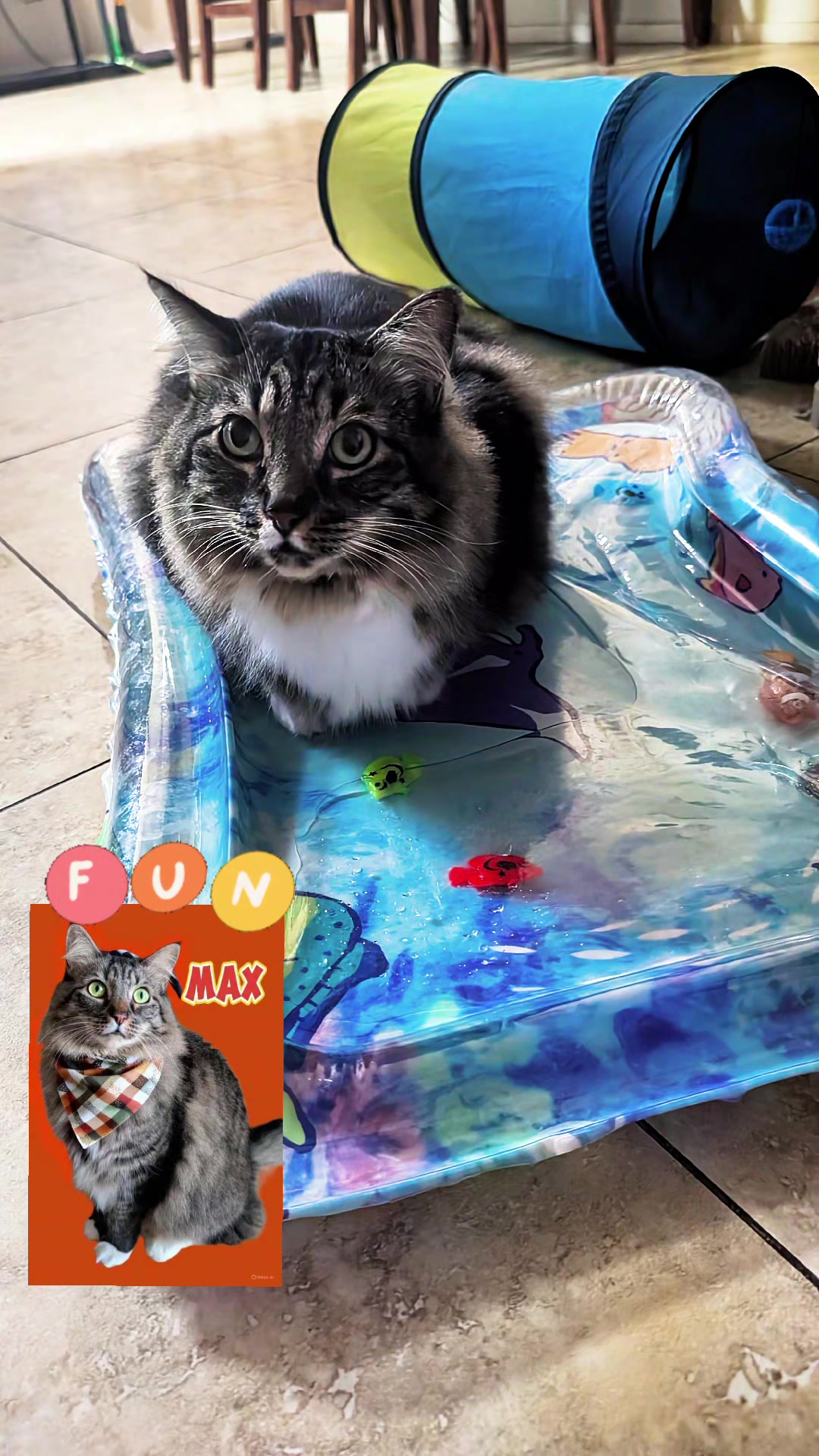 @RIEJ💘(ΦωΦ)🐈️🐾👑