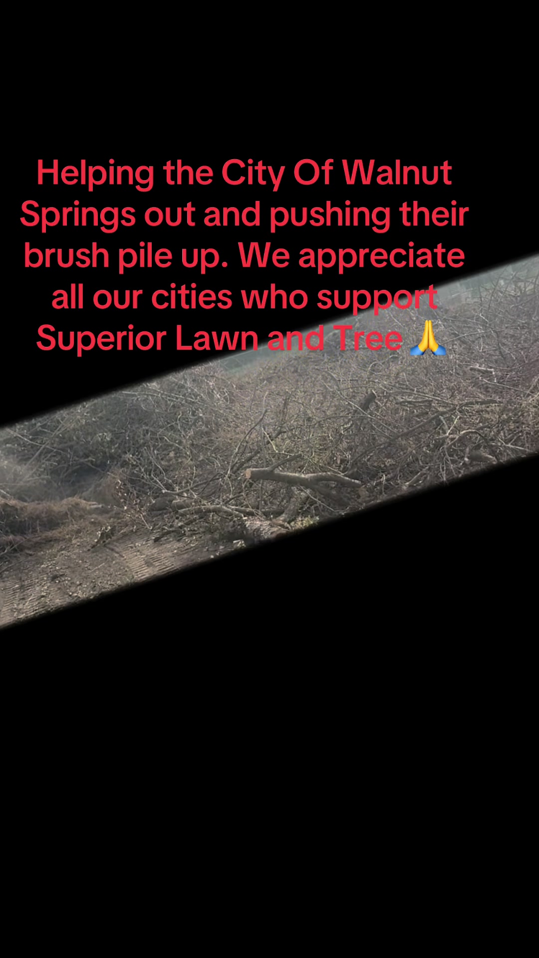 @Superior Lawn and Tree
