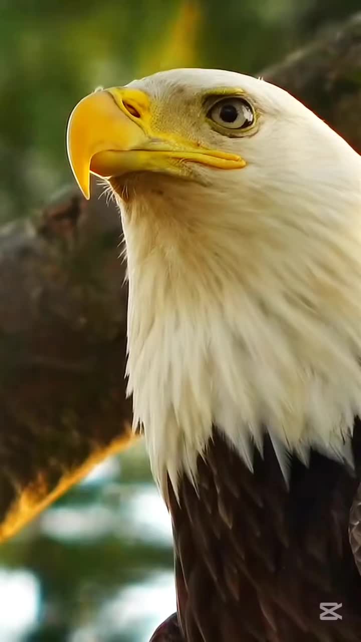 @motivation