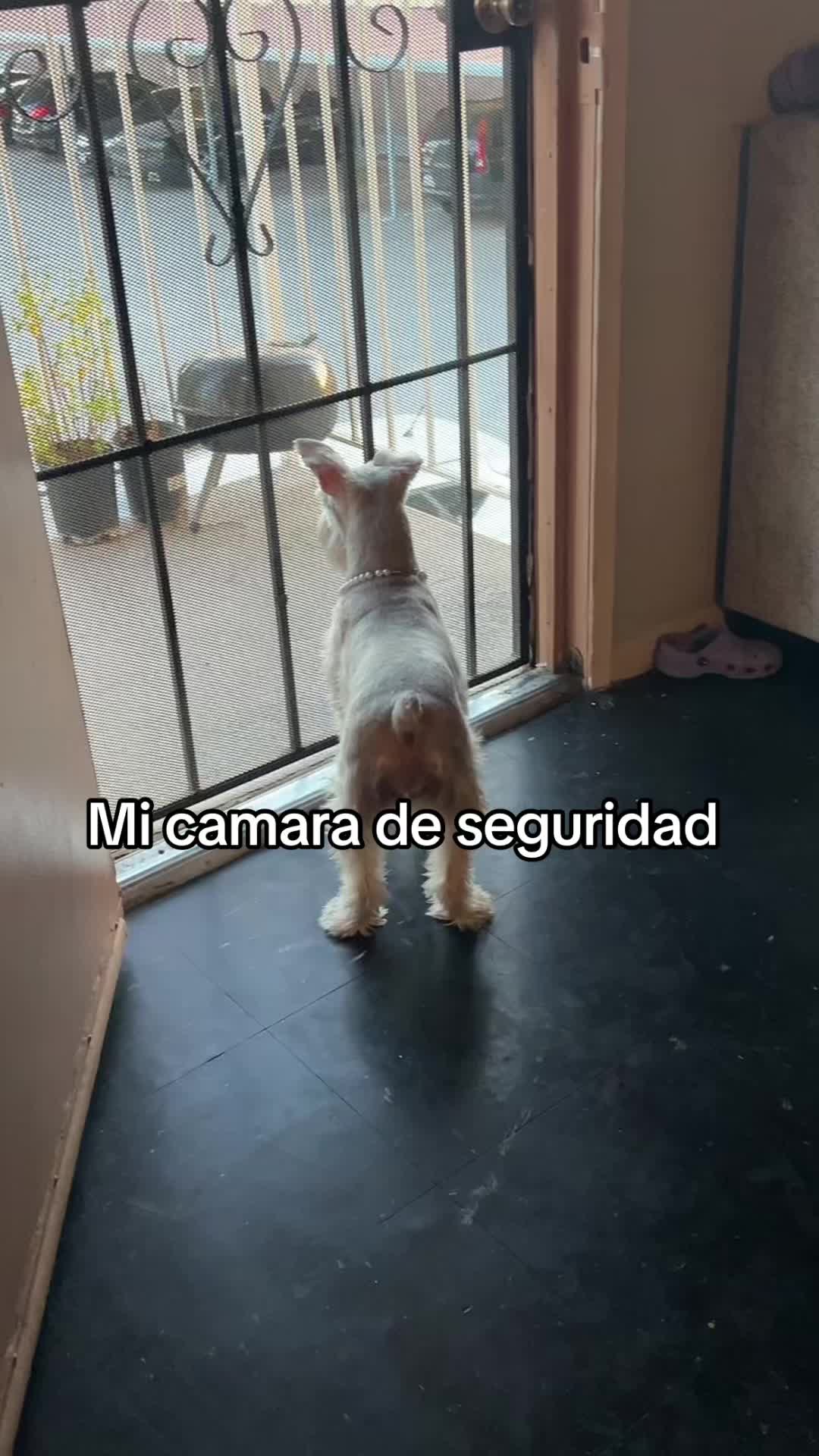 @La&rsquo; Beck
