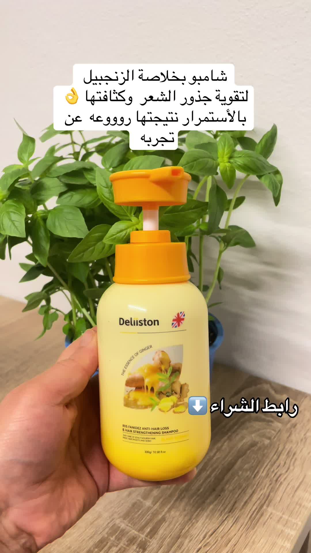 @عروض
