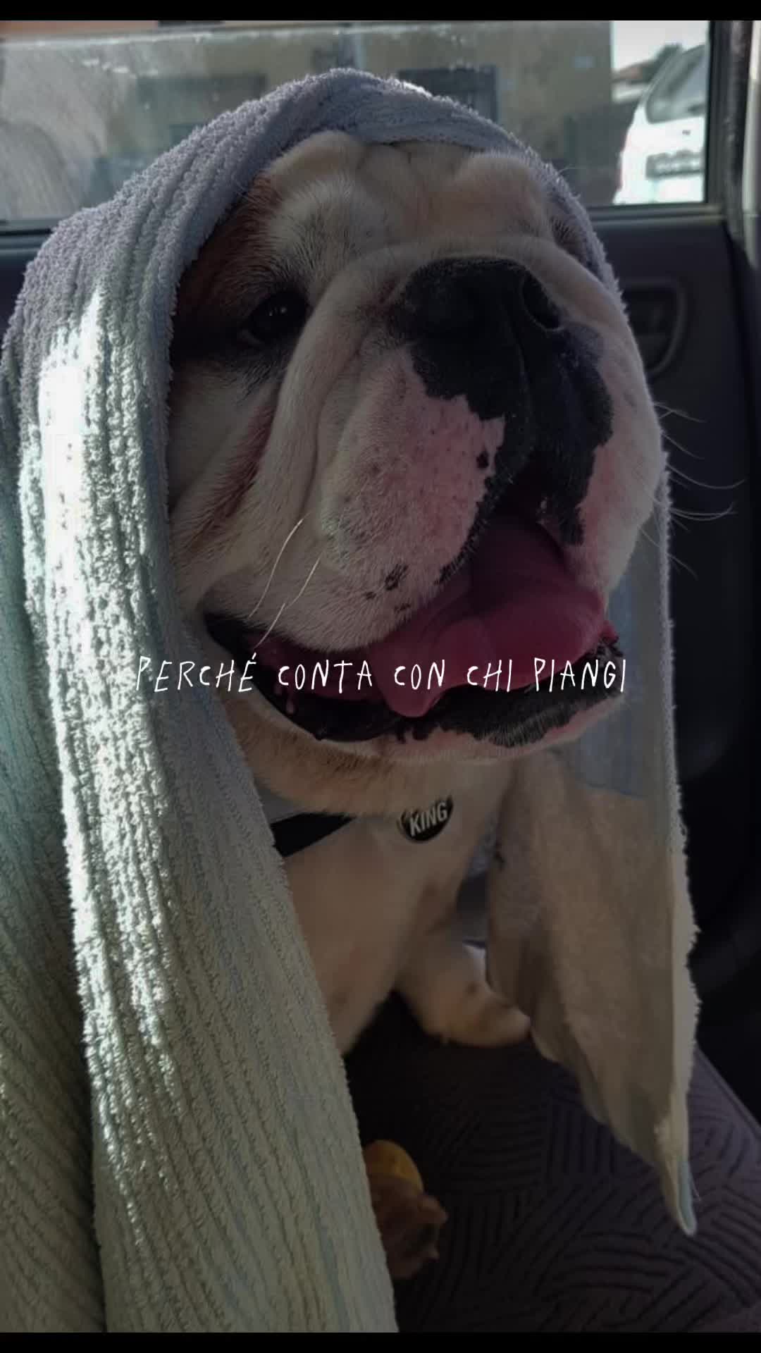 @Bea