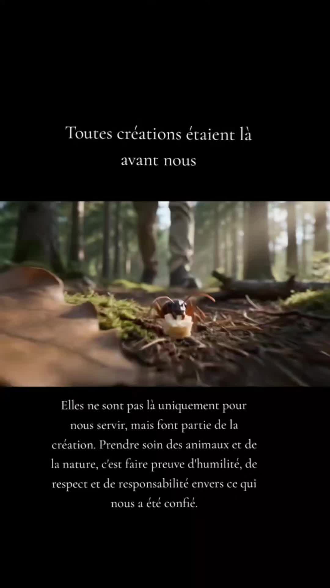 @Lauret Denise ✨🐉✨