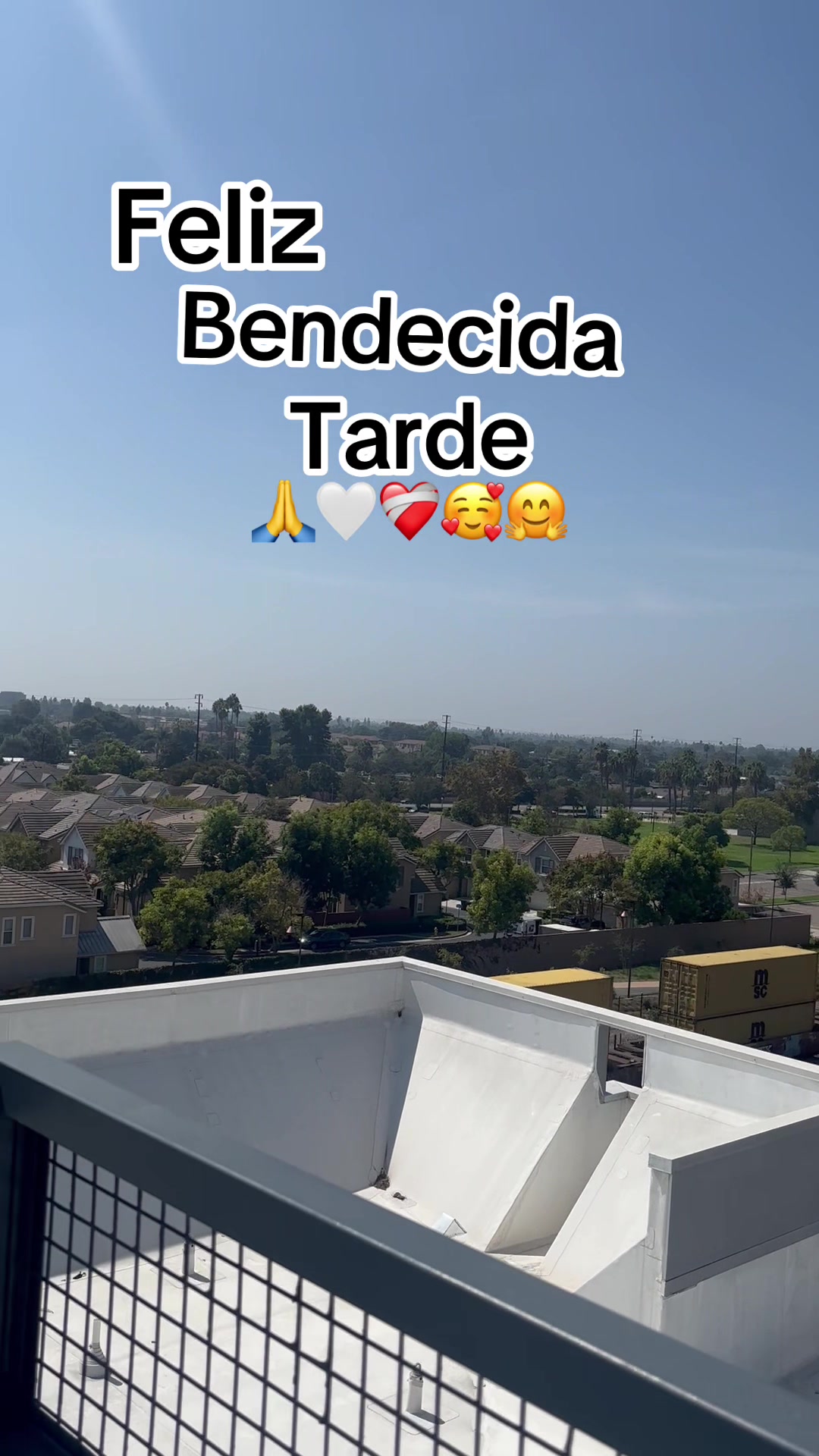 @Leticia Mejia