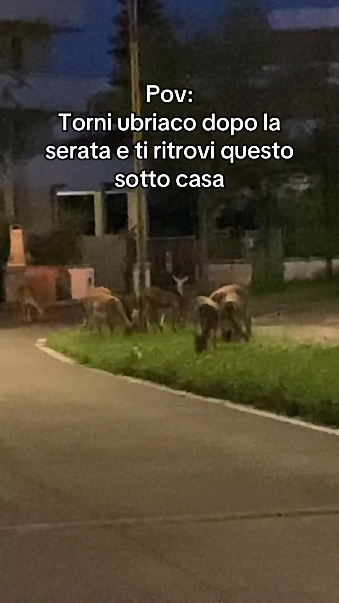 @ChriZona