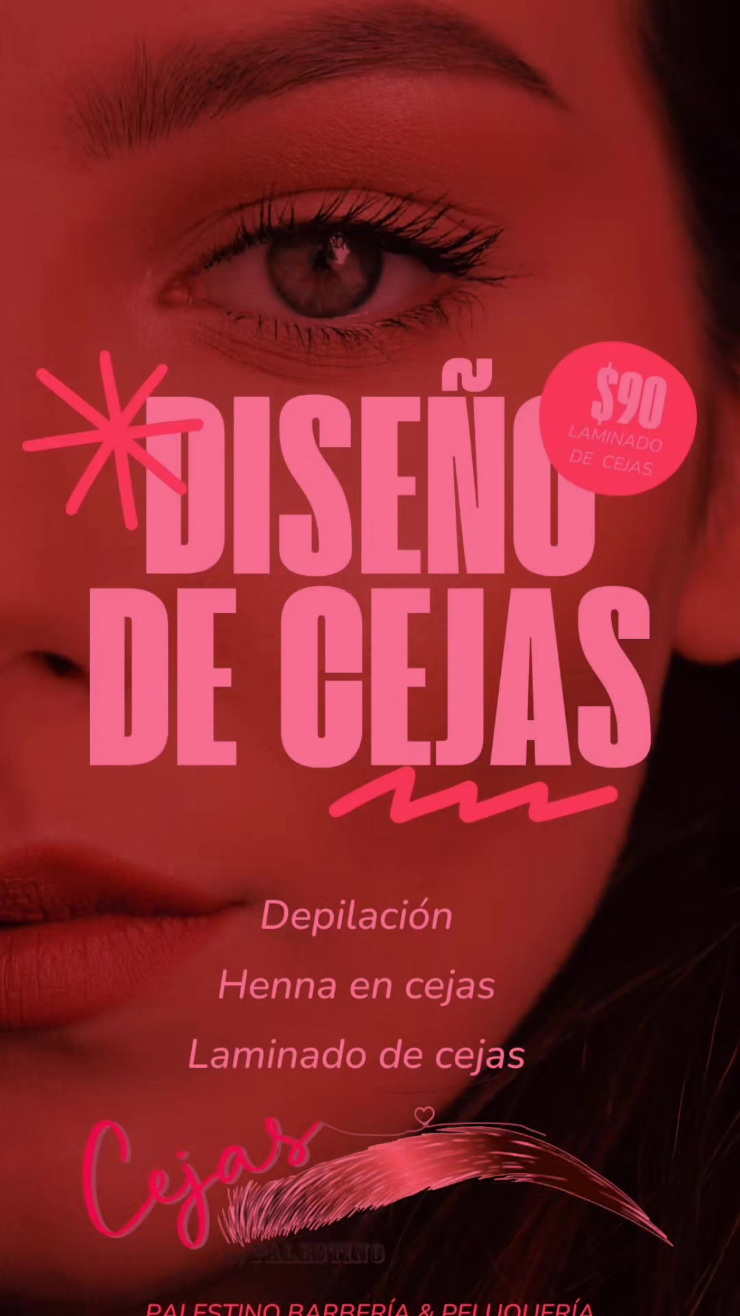 @sandrapalestino8