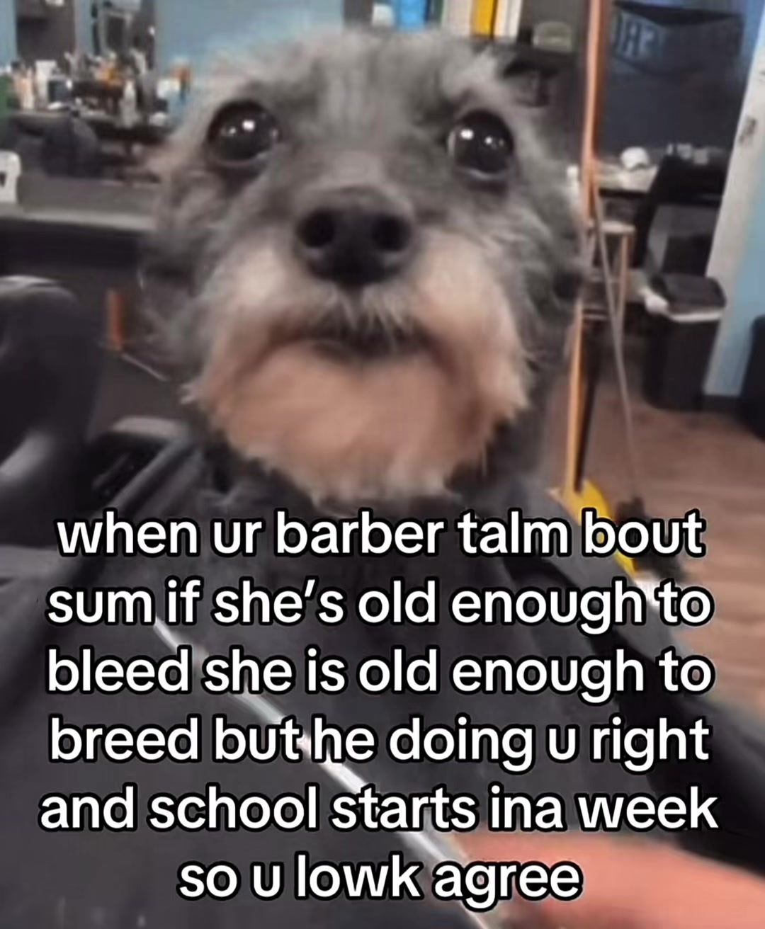 @My ball hairs are crispy
