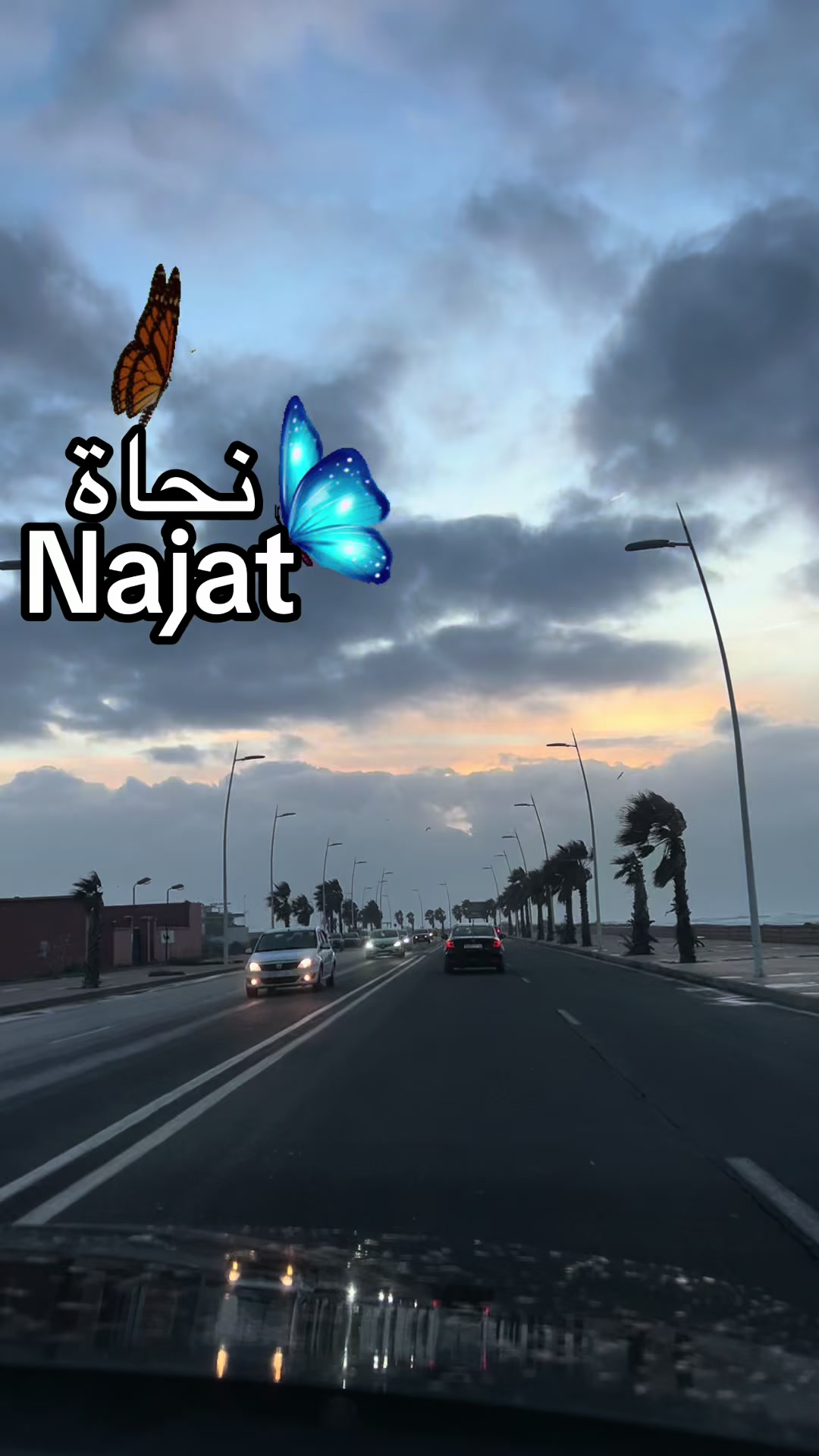 @Omfarouk_7