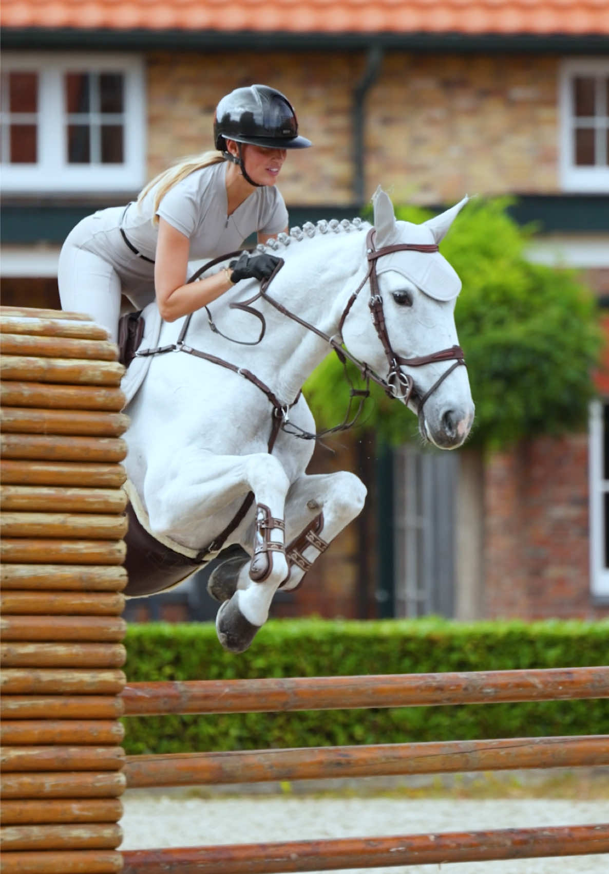 @Maximilian Equestrian