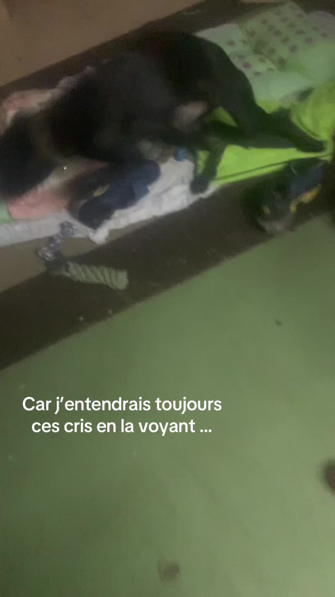 @les.aventures.de.naya