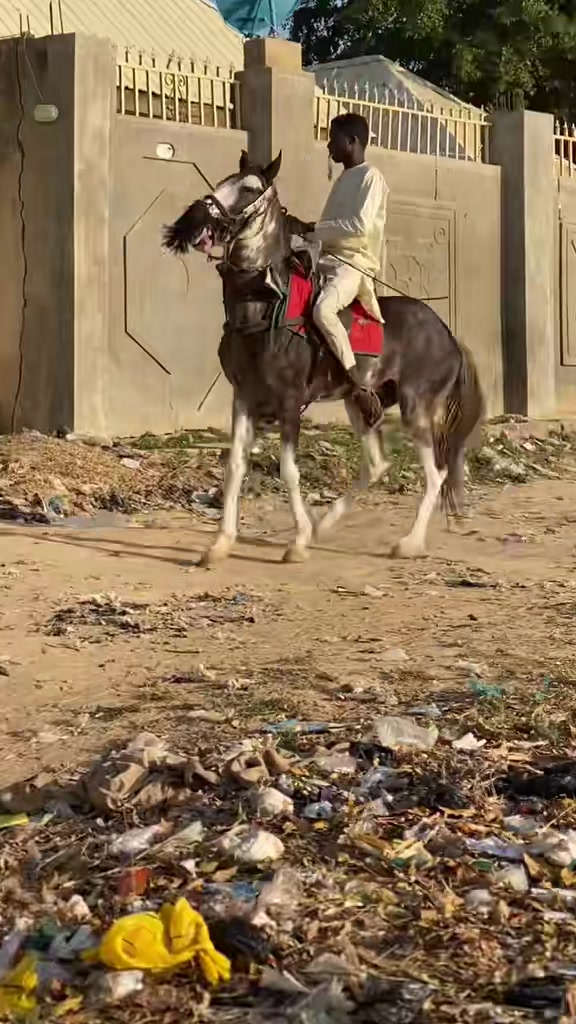@mubarak_kainuwa01