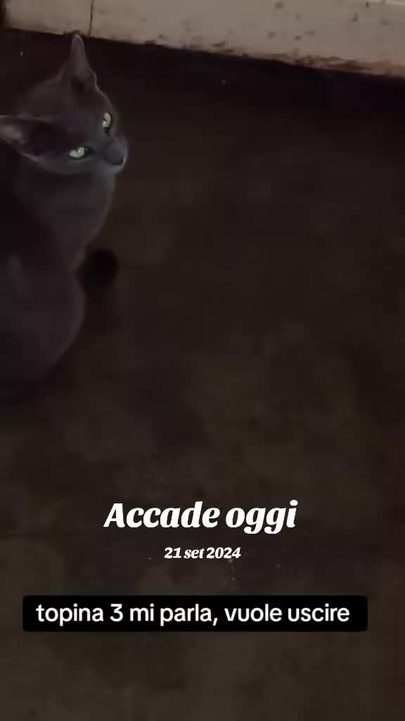 @Angelo74