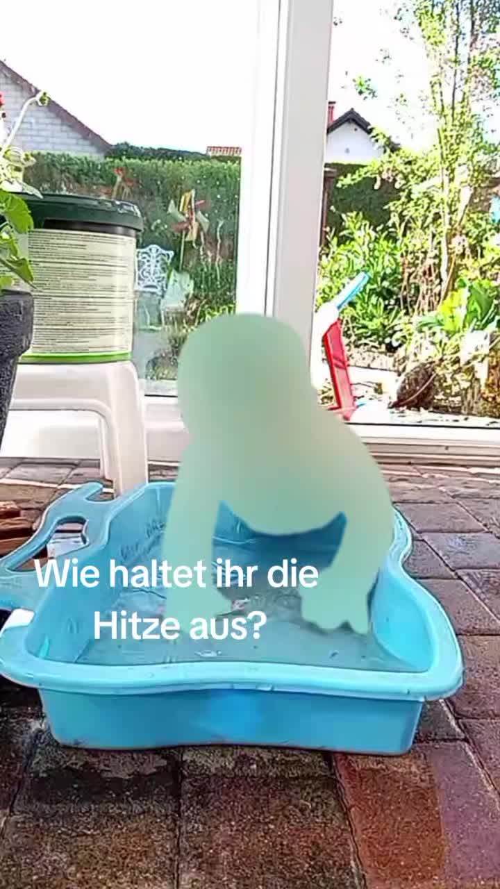 @SaphirBlue