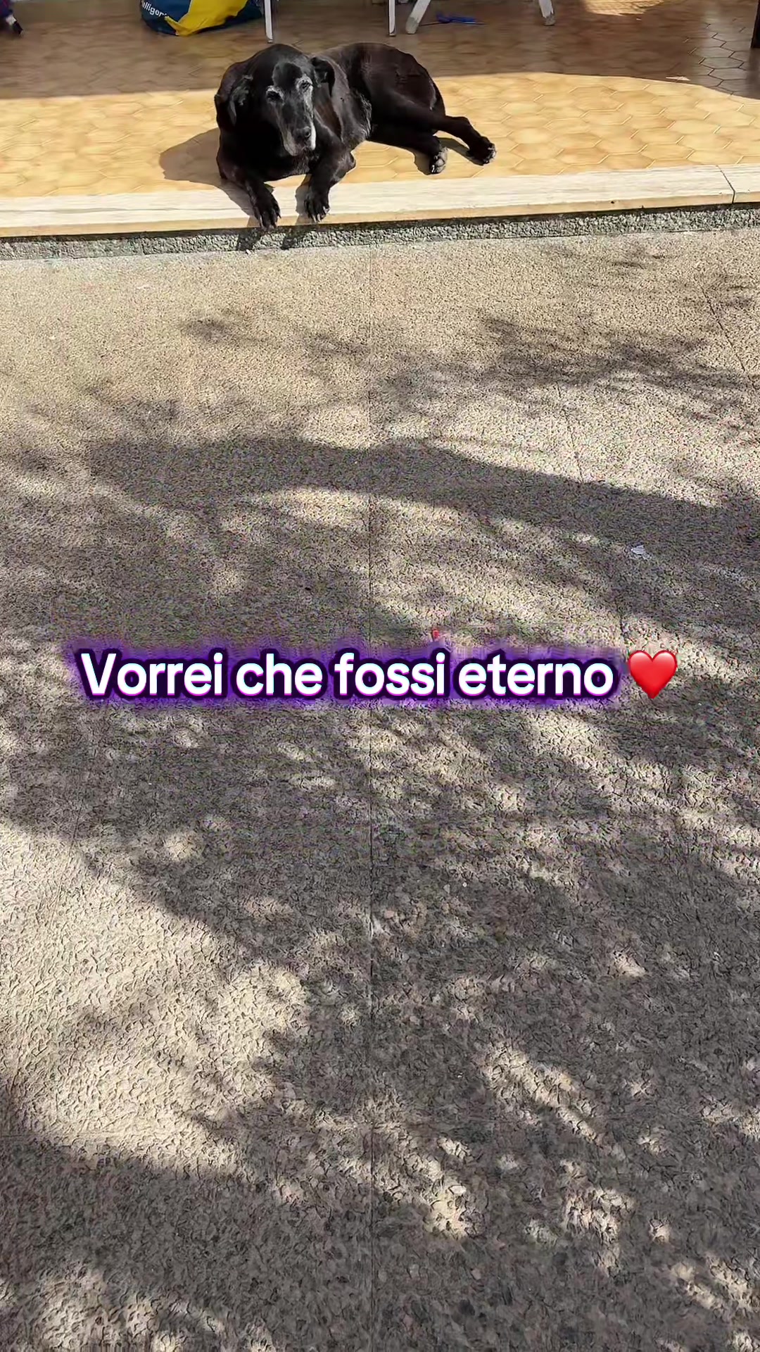 @Vanessa Librando