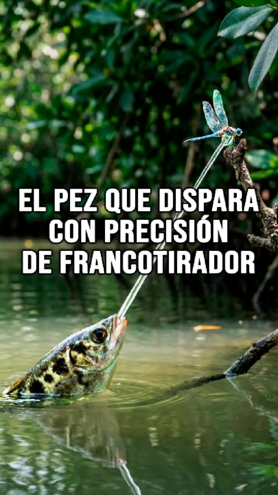 @Reflexiones