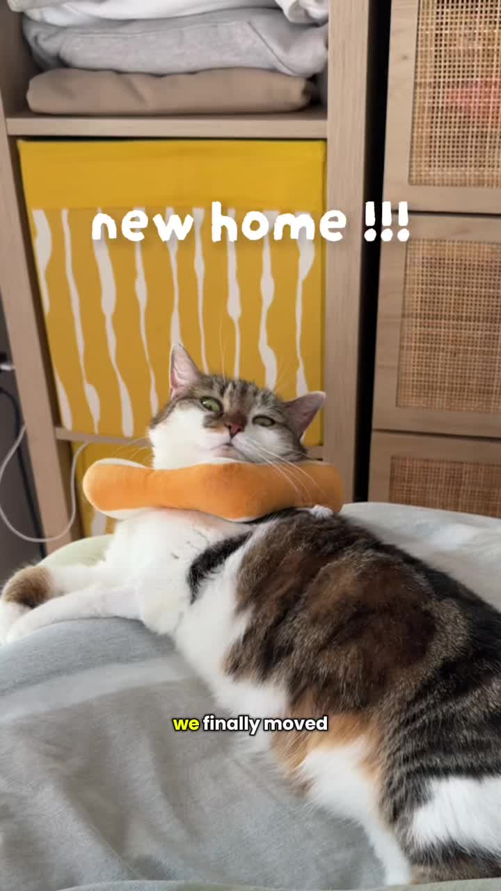 @Suki Purrs