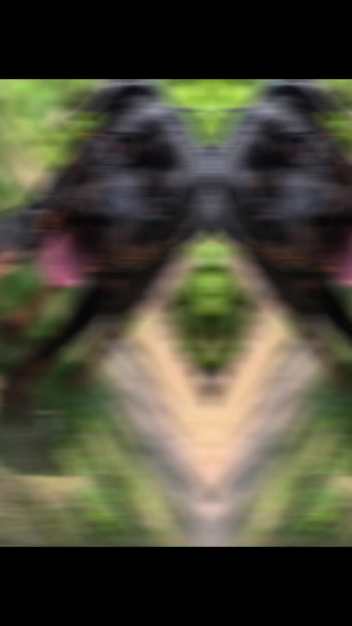 @Nicole❤️Schr&ouml;der🖤Kowalski ❤️