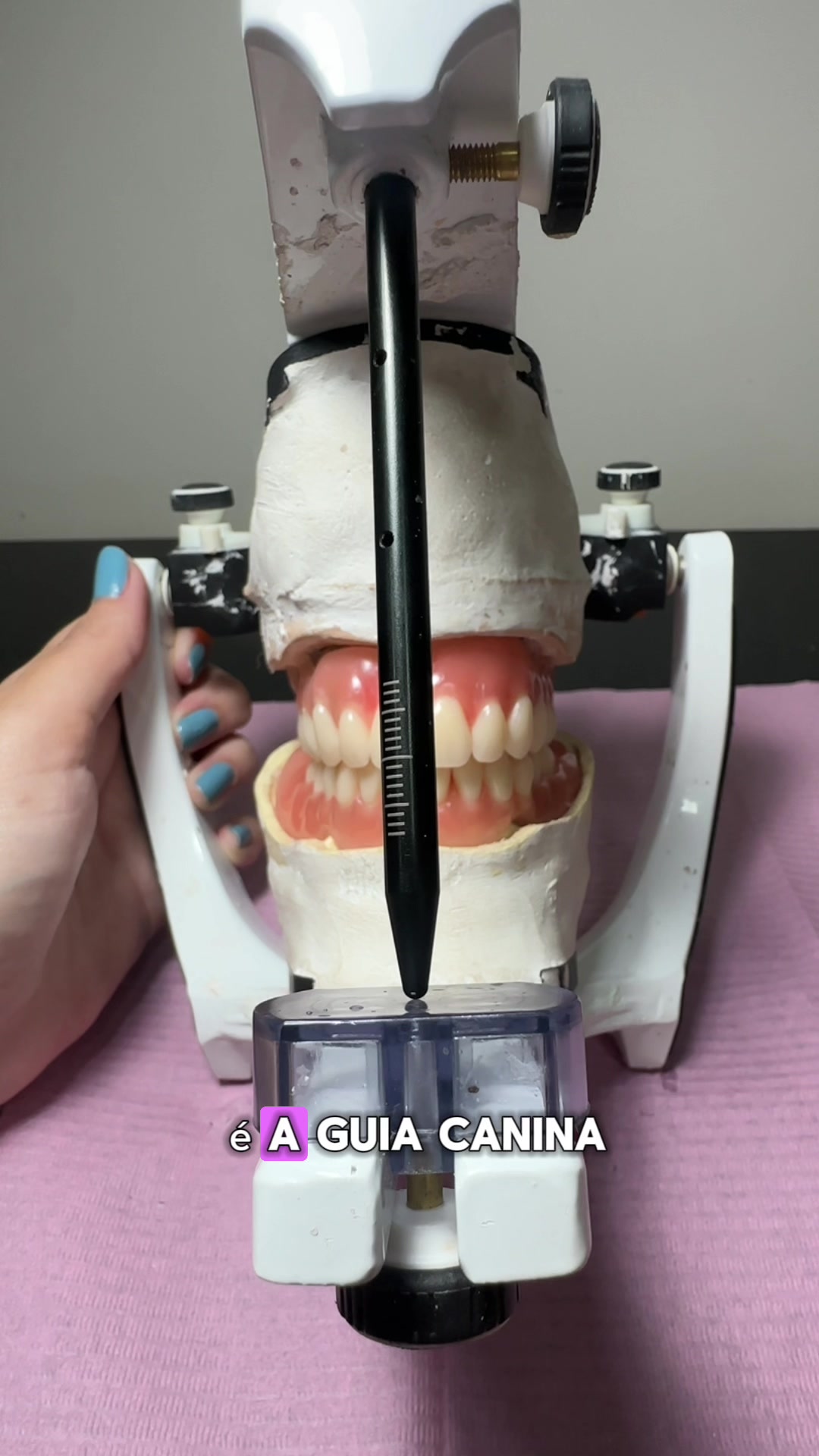 @Lab. de Prótese Dentária